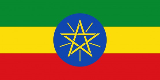 Terra voor Going Global Ethiopië 2020
